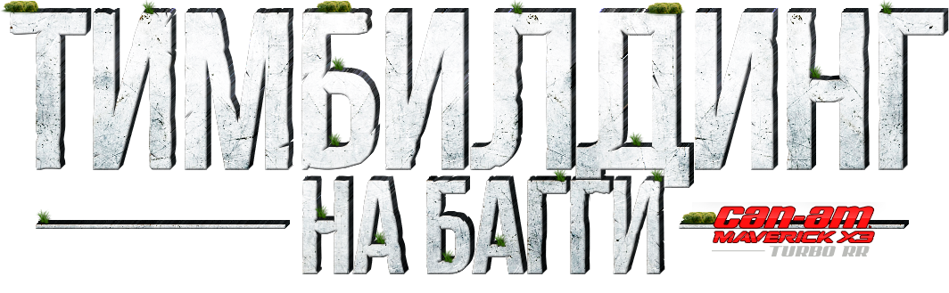 ТИМБИЛДИНГ НА БАГГИ В МОСКВЕ